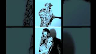 The Silver Panda - She Rides The Waves (Pale Saints cover  - excerpt 02) #music #shoegaze