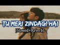 Tu Meri Zindagi Hai Slowed Reverb Kumar Sanu And Anuradha Paudwal Aashiqui