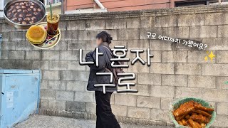 특별하진 않지만 꿀잼이었던 구로 l 나혼자 브이로그