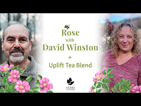 Rose with David Winston + Uplift Tea Blend