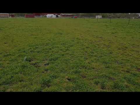 Det haglar på Hästgården