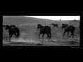 Mustangs Horses Hang Em High My Chemical Romance
