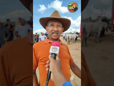 1ª Feira de Animais de Buenos Aires-PE #omelhordonordeste #cavalo #feira #buenosairespe