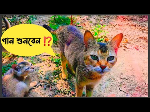 গান শুনবেন 🤫 (mdabdulazimofficial)