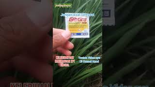 Download lagu Hati2 Jangan Asal Semprot Gibgro mp3 Download lagu Hati2 Jangan Asal Semprot Gibgro mp3