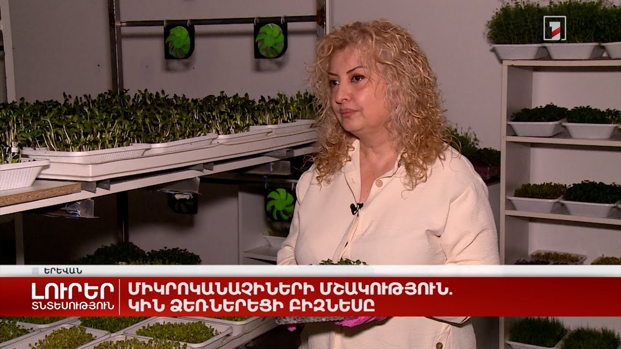 Միկրոկանաչիների մշակություն. կին ձեռներեցի բիզնեսը