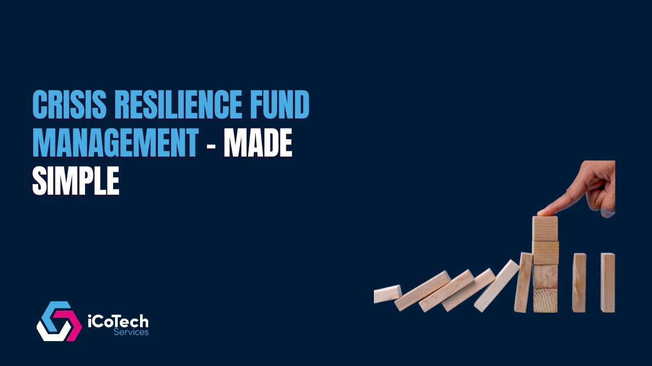What is the Crisis Resilience Fund?