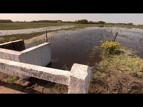 Gegen die Trockenheit: Vom kargen Landstrich zur lebendigen Feuchtwiese