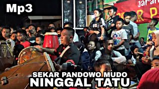 Download Lagu Gratis