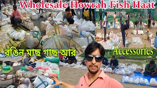 Today Ankurhati Friday Pet Market | Howrah Ankurhati Aquarium Fish Haat | Ankurhati Fish Market