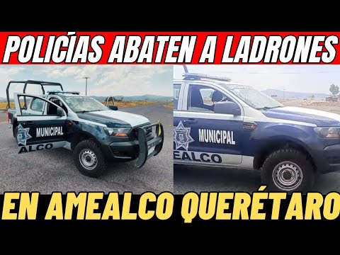 POLICÍAS MUNICIPALES ABATIERON A LADRON, REPORTAN CUATRO DELINCUENTES HERIDOS EN AMEALCO QUERETARO 🌎