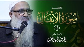 صورة تفسير سورة الأنفال | 14 | فضيلة الشيخ أ.د أحمد النقيب