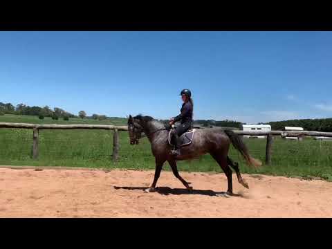 Style Jump Schooling