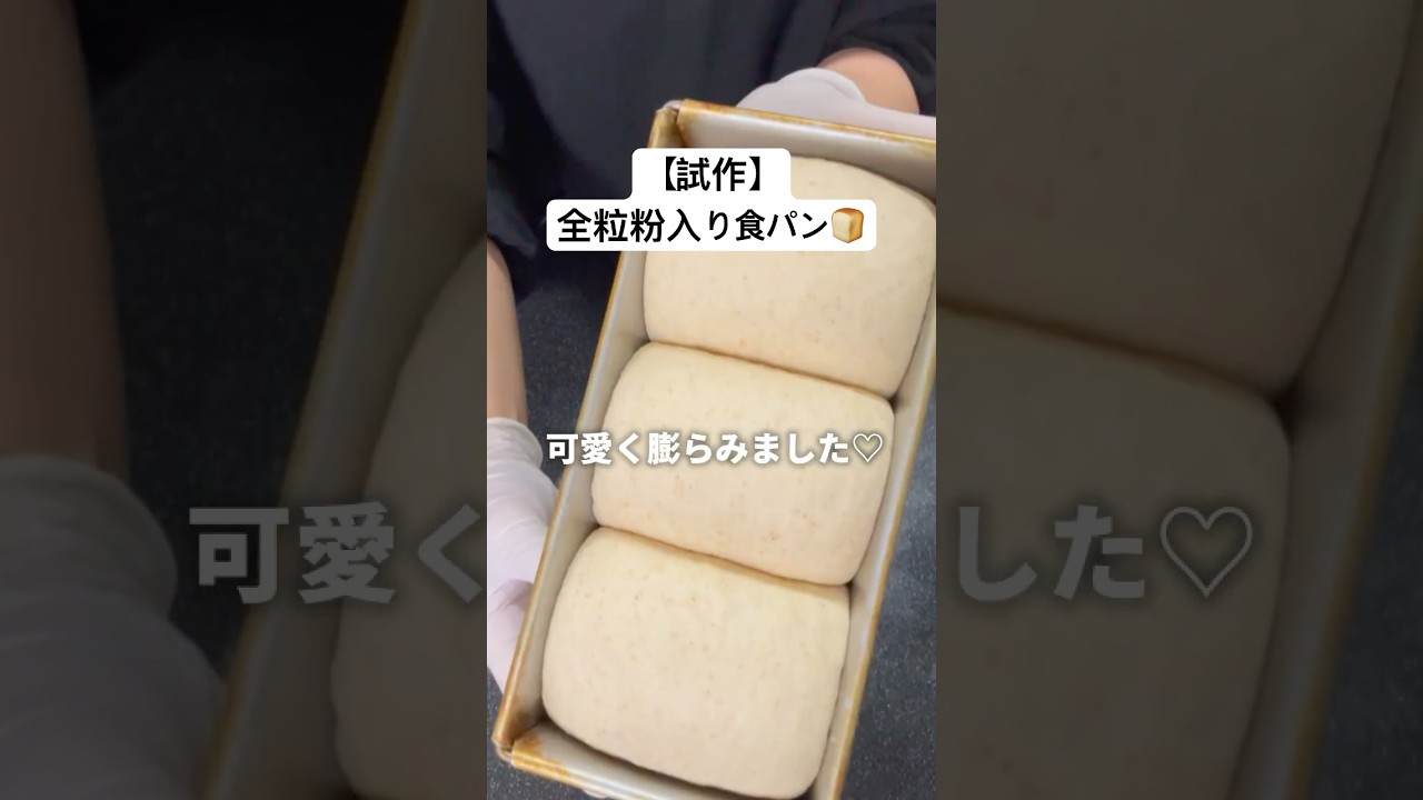 【試作🍞】全粒粉入り食パン✨