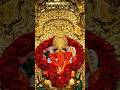 Shree Siddhivinayak New 4k Status Shree Siddhivinayak Status Shortsfeed Ganesh Yt