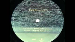 Steve Reich - Megamix - Mike Kandel Tranquility Bass Remix