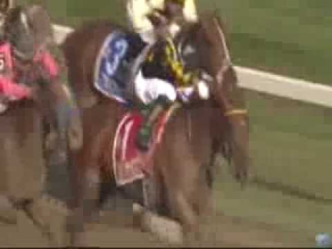 2013 Ballerina Stakes - Dance to Bristol