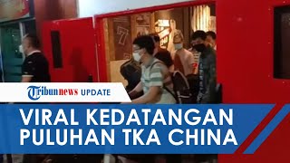 Viral Video Puluhan TKA China di Bandara Haluoleo Kendari, Kapolda: Mereka Datang dari Jakarta