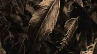 Saving Private Ryan - Trust Company  - The Fear (Part 2 By DavidianoForEver2)