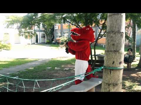 Dino Jiu no CEART, saiba mais no site: www.jiufest.com.br