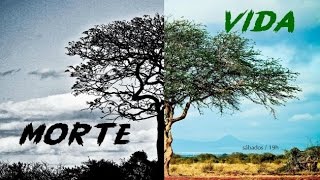 MORTE E VIDA - 6 de 6 - Queres Ser Curado
