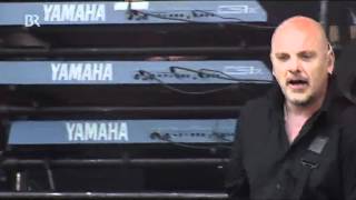 The Stranglers - Always TheSun (Live at Rock Im Park 2012)