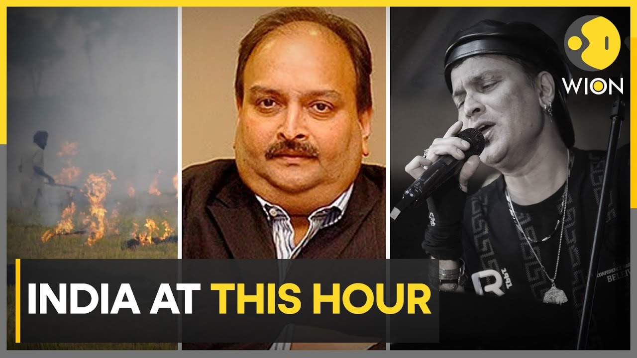 Punjab: Farm Fires Surge, 175 FIR's Filed in a Single Day | INDIA AT THIS HOUR | WION