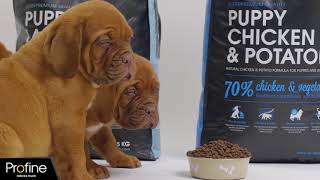 Profine Puppy Chicken & Potato 3 kg