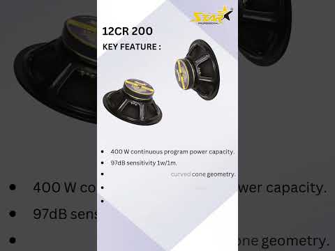 SX-200 speaker 12CR 200 II 156 X 20 mm Magnet Diameter