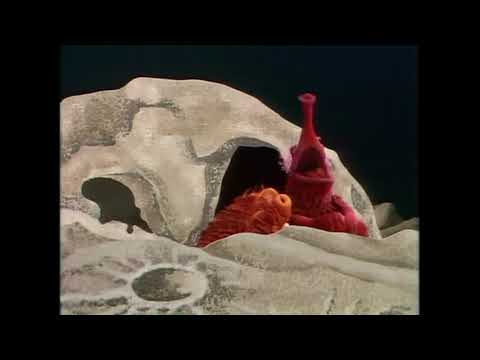 Muppet Show: Planet Koozebane