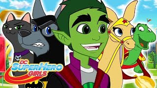 All Pets Are Off | 513 | DC Super Hero Girls