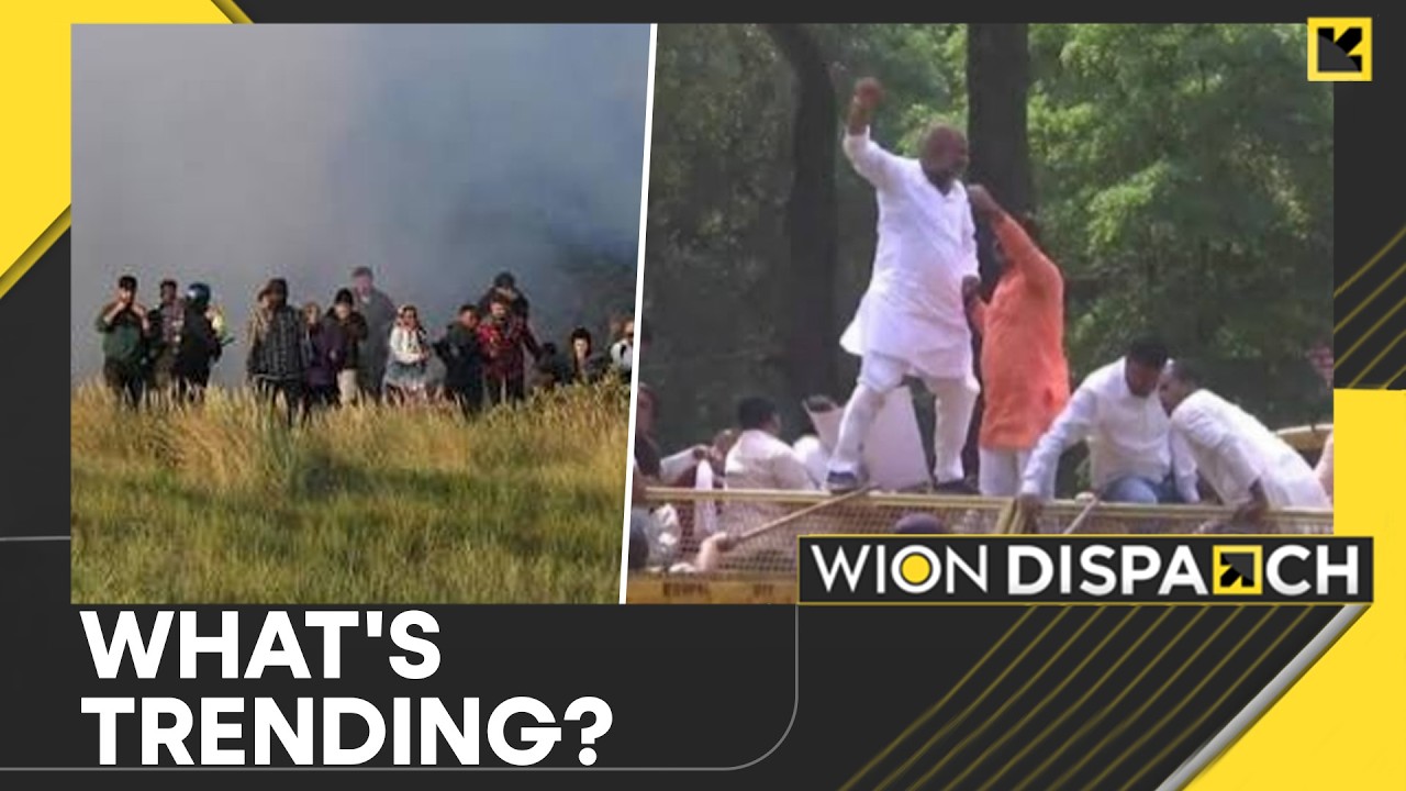 French Police Fire Tear Gas at Migrants Trying to Cross English Channel | WION TRENDING