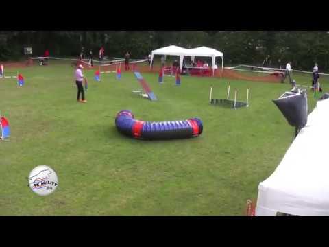 Dutch National Agility Championships 2016 Live Stream