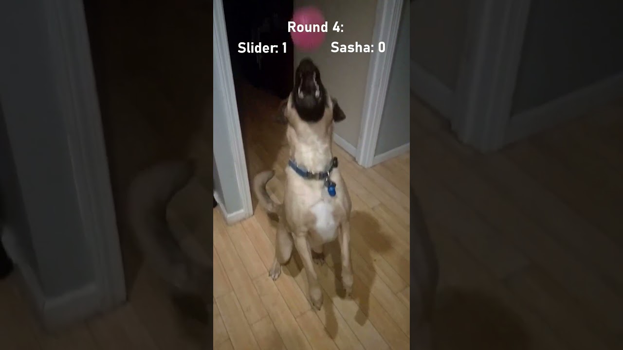 Slow-Mo Catch Contest!