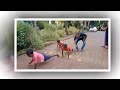 Kids Yoga Activity At Shivaa Campus