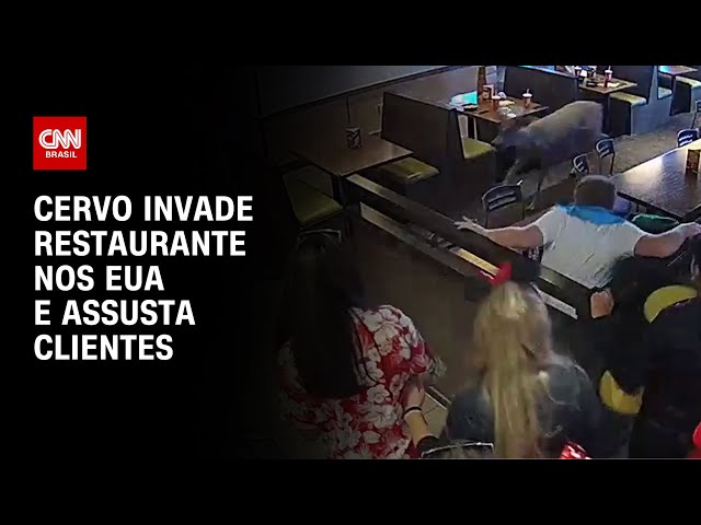 sddefault Vídeo: Cavalos invadem farmácia, provocam estragos e funcionários fogem