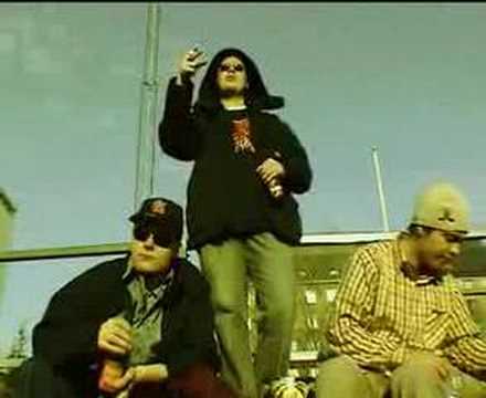 SLT - Raimo, Petos, Lerha -- Kauluspaitoja