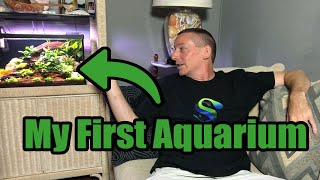 Update on ALL MY AQUARIUMS & My AQUASCAPING Since DAY 1 | COMPLETE REVIEW