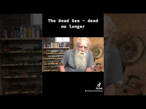 Prophecy Update - Dead Sea #shortsvideo