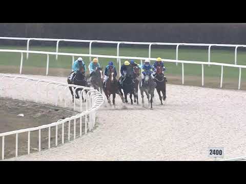 2020.12.20. 02. futam - NYERETLEN KÉTÉVESEK VERSENYE (IV.kat.) (szintetikus pálya)