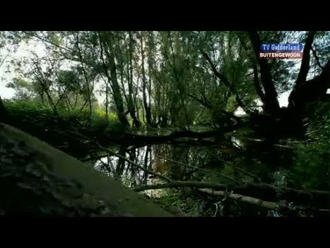 BuitenGewoon 5 juni 2012