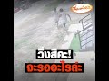ตรวจหวย