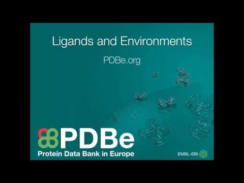 PDBe mini tutorial: Viewing ligands and environments in PDBe entries