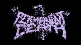 Permanent Death - Lay off me (Agathocles cover)