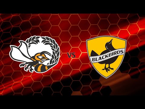 O2JKL/MuurY - Blackbirds