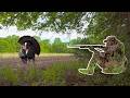 Gobblers Going Everywhere Missouri Public Land Turkey Hunt