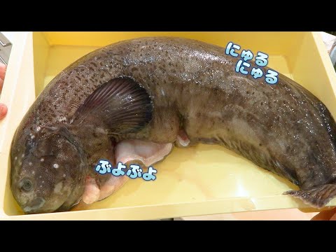【ぶよぶよ】干したら最強になる魚を見つけました