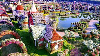 Dubai Miracle Garden Drone Shot HD