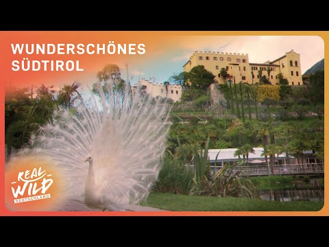 Südtirol: Zwischen italienischem Flair und den Dolomiten | Doku