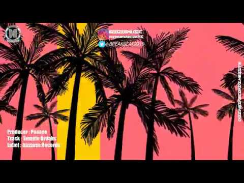 Breakbeat 2020 // Pavane - Temple Breaks (Original Mix)